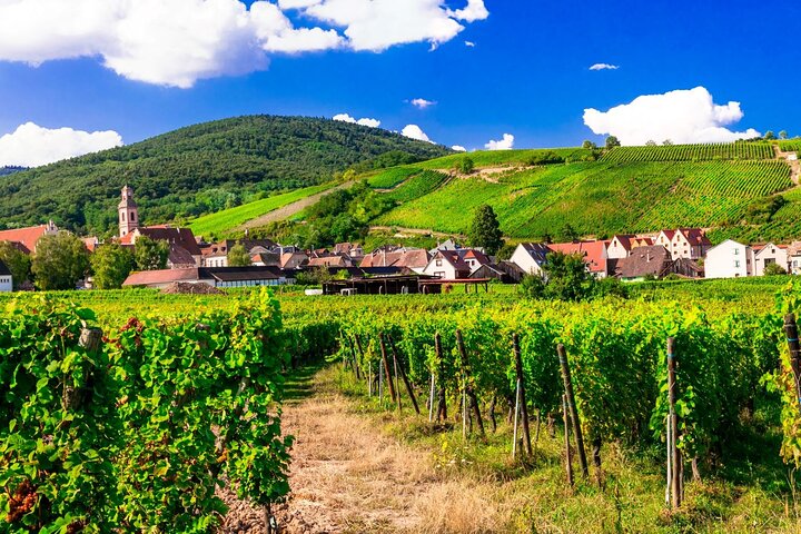 Alsace Wine Route Small Group Half-Day Tour with Tasting from Strasbourg