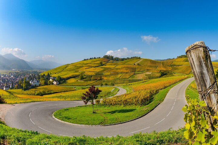 Alsace Wine Route Small Group Half-Day Tour with Tasting from Strasbourg
