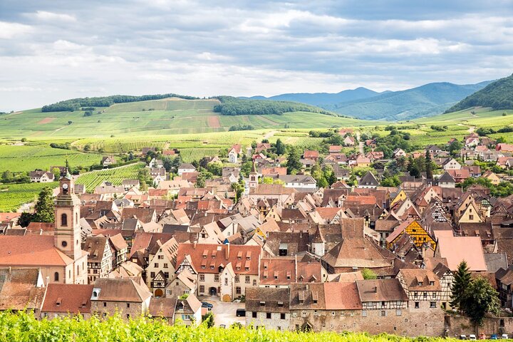 Alsace Wine Route Small Group Half-Day Tour with Tasting from Strasbourg