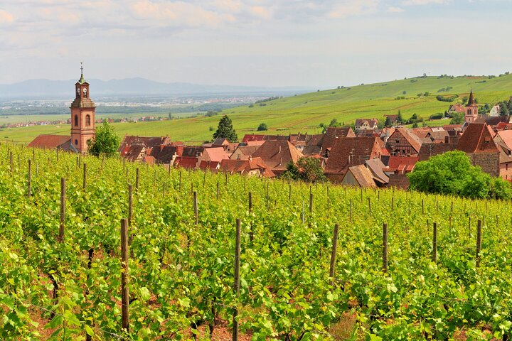 Alsace Wine Route Small Group Half-Day Tour with Tasting from Strasbourg