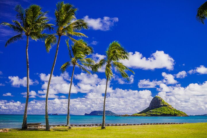 Oahu: Full or Half Day Grand Circle Island Tour