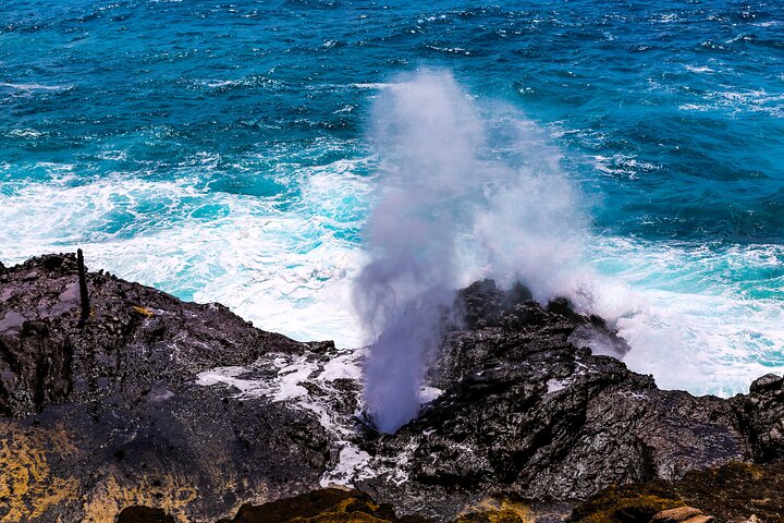 Oahu: Full or Half Day Grand Circle Island Tour
