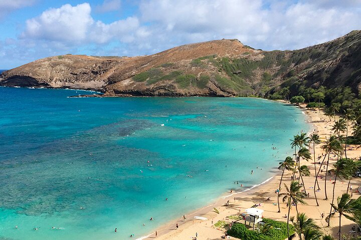 Oahu: Full or Half Day Grand Circle Island Tour