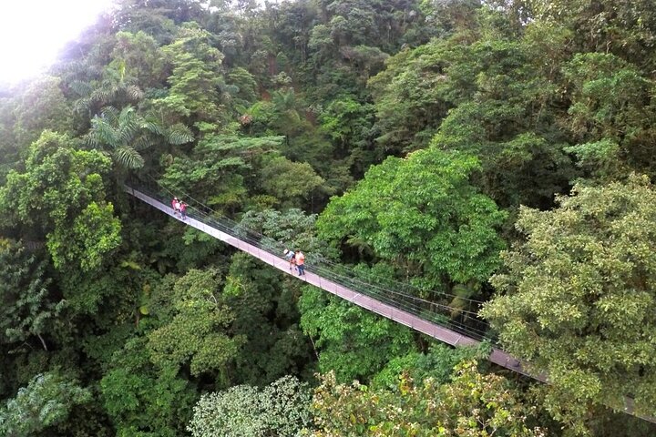 Adventure in Volcano Combo Tour! - Zip Line, Waterfall, Hot Springs and More