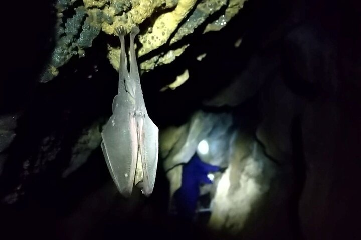 Private Ninja Training in a Cave in Hidaka
