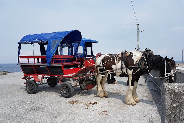 Galway to Aran Islands & Cliffs of Moher Day Tour & Cliffs Cruise