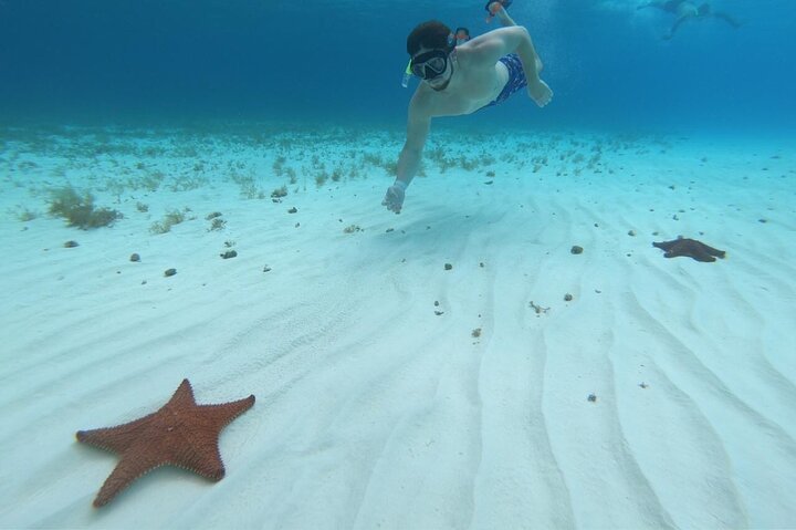 Cozumel Snorkeling Tour: Palancar, Columbia and El Cielo Reefs