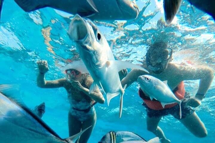 Cozumel Snorkeling Tour: Palancar, Columbia and El Cielo Reefs