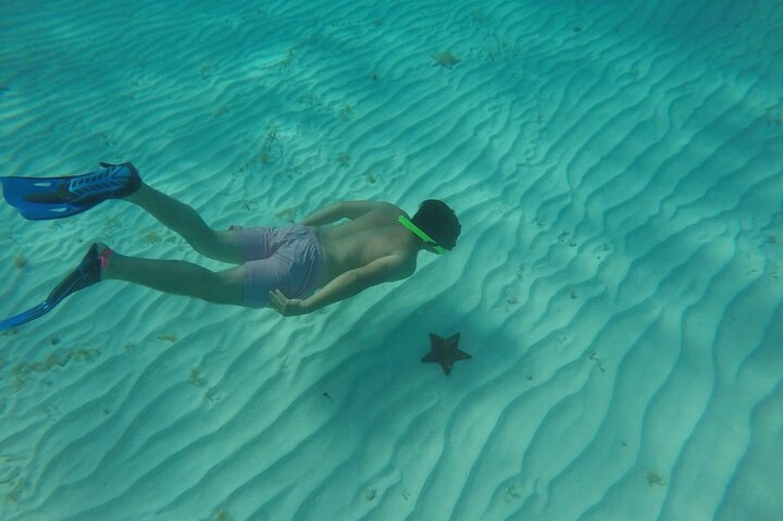 Cozumel Snorkeling Tour: Palancar, Columbia and El Cielo Reefs