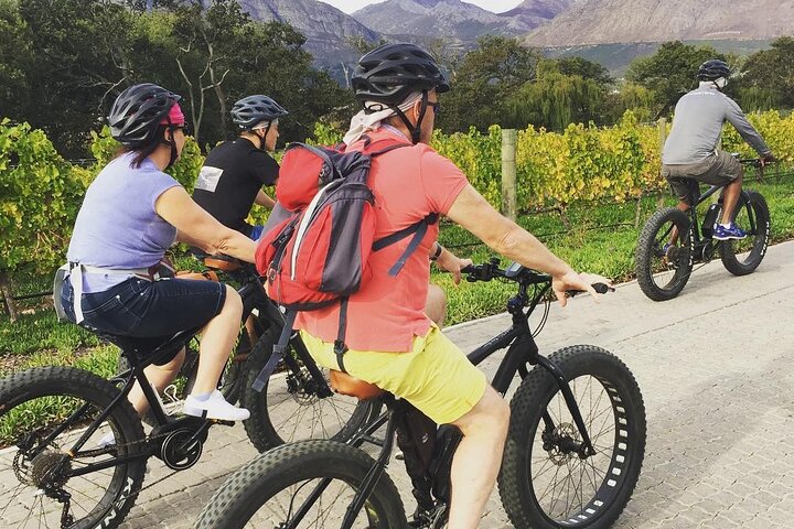 Franschhoek E-Bike Wine Tour (Half Day)