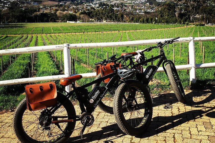 Franschhoek E-Bike Wine Tour (Half Day)