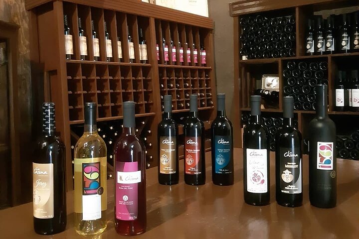 Gastronomic Walking Tour in Jerez