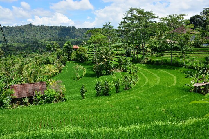 East Bali Tour: Gate of Heaven, Water Palace, Sleeping Gajah