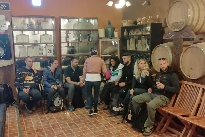 Private Tour to Huacachina from Paracas
