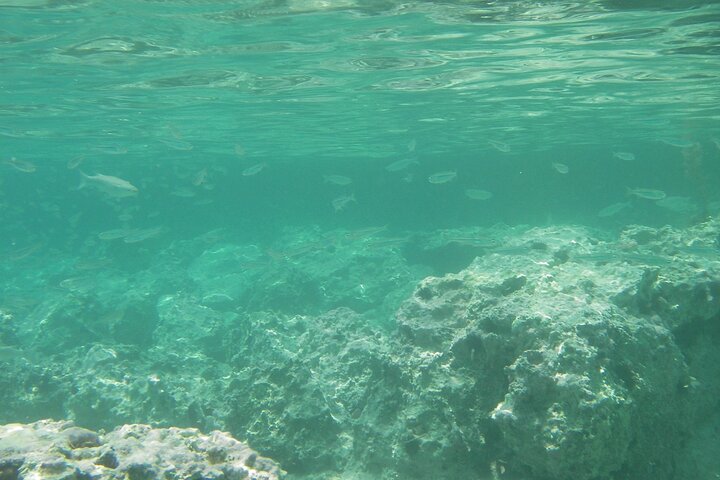Kekova Private Full-Day Boat Trip