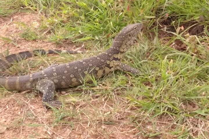 2 Days Selous Game Reserve from Zanzibar