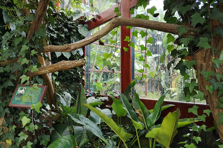 Poas Volcano and La Paz Waterfall Gardens Private Tour
