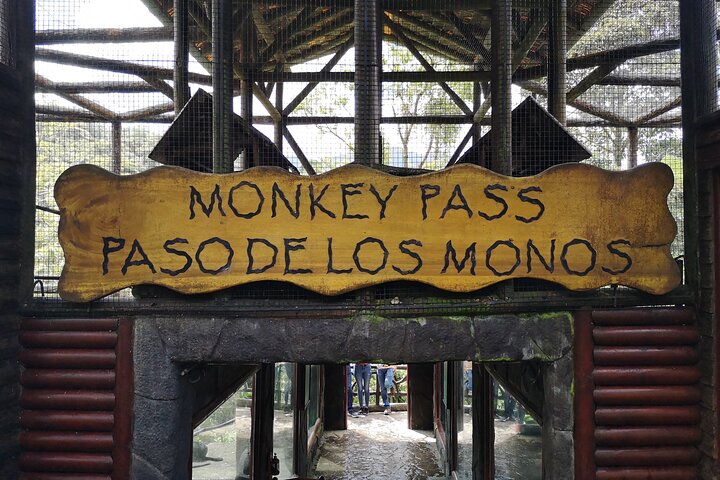 Poas Volcano and La Paz Waterfall Gardens Private Tour