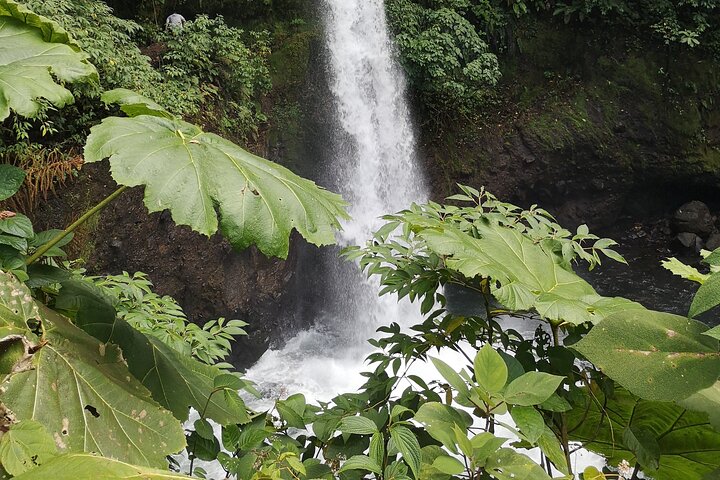 Poas Volcano and La Paz Waterfall Gardens Private Tour