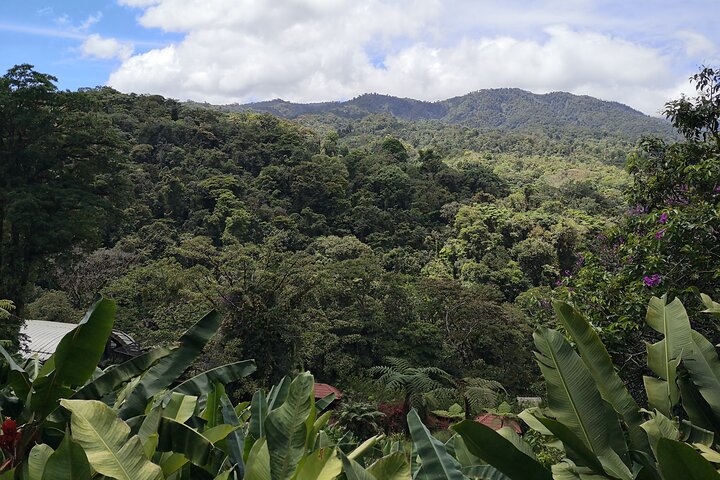 Poas Volcano and La Paz Waterfall Gardens Private Tour