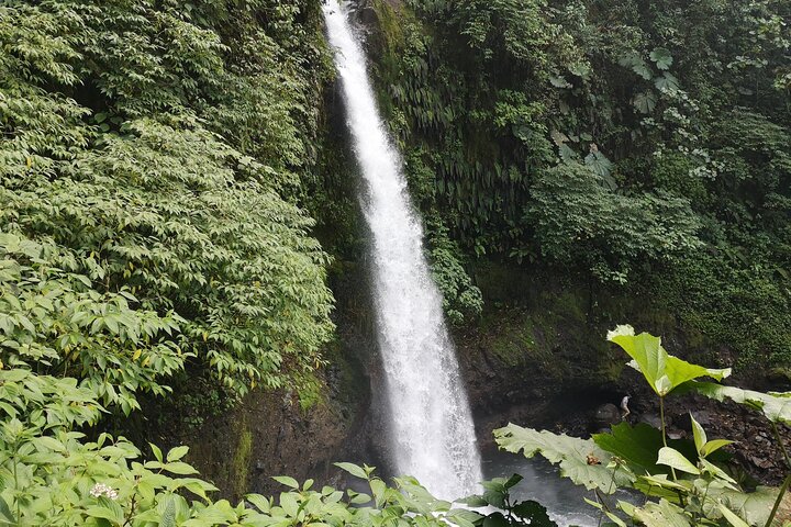 Poas Volcano and La Paz Waterfall Gardens Private Tour