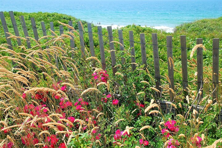 Boston to Martha's Vineyard Day Trip with Optional Island Tour