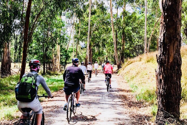 Yarra Valley Guided Bike Tour | Food & Wine Region