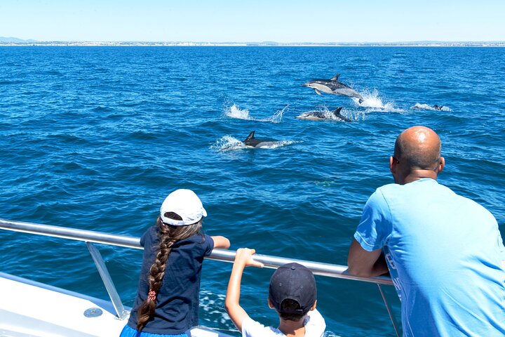 Dolphins & Cave Boat Cruise with Marine Biologist from Albufeira