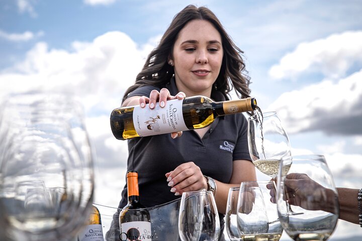Premium Tasting | Quinta de Santa Cristina Vinho Verde
