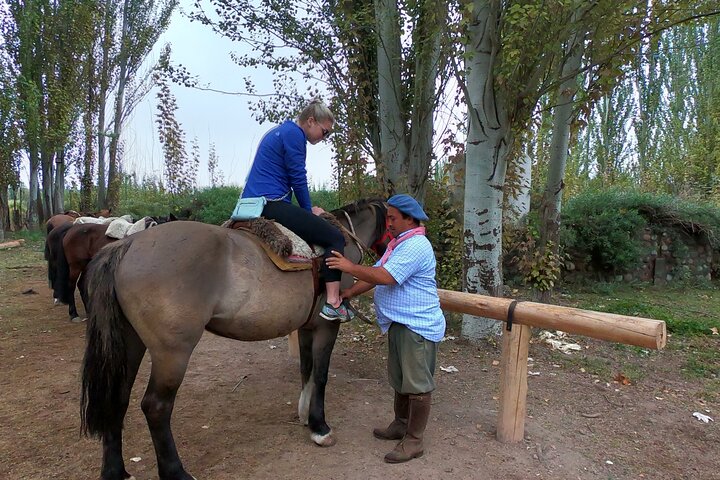 Horseback ride through vineyards followed by gourmet lunch