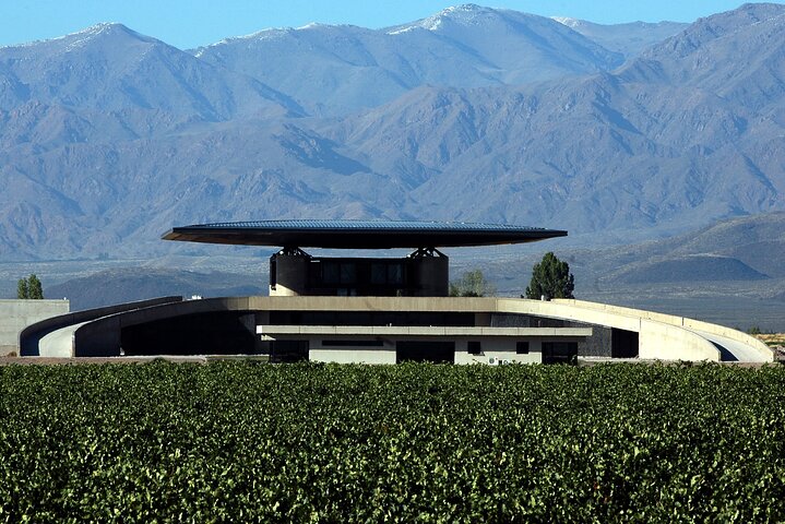 Malbec & Mountain Uco Valley Private Wine Tour with Gourmet Lunch