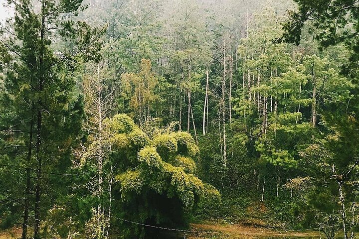 Full-Day Tour to the Rey Marcos Caves & Nature from Coban