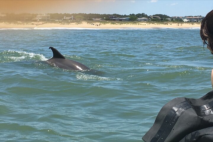 Small Group Dolphin Kayak Eco-Tour