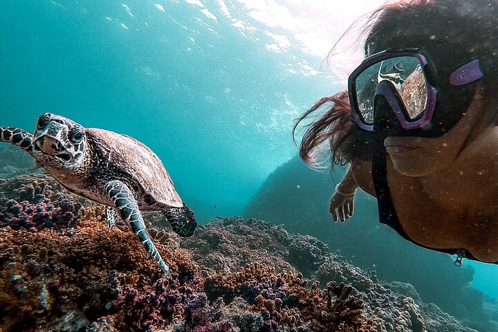Caño Island all inclusive Snorkeling Tour in small groups