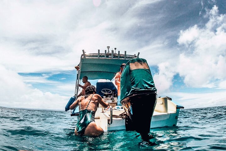 Caño Island all inclusive Snorkeling Tour in small groups
