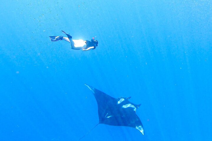 Caño Island all inclusive Snorkeling Tour in small groups