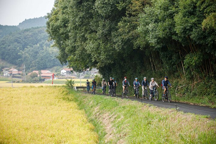 Guided Cycling Tour in Hagi with Sake Brewery Visit