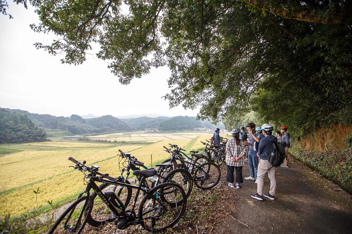 Guided Cycling Tour in Hagi with Sake Brewery Visit