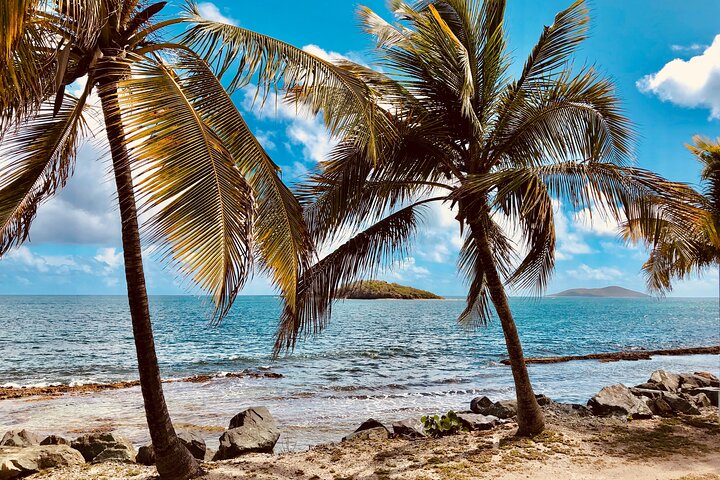 Island Life Jeep Tours - Your Day Your Way Private Excursion!