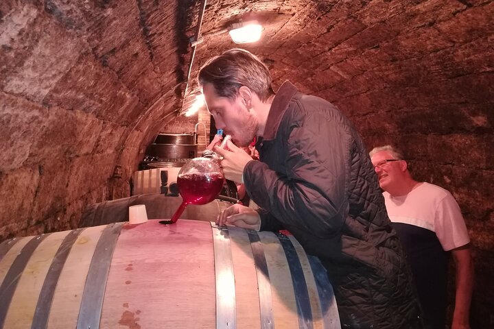 Countryside Half-day Gastro-Wine Tour from Budapest Meal & pickup
