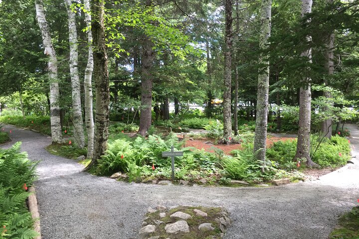 Premium Narrated Bus Tour of Bar Harbor and Acadia National Park (3.5 Hours)
