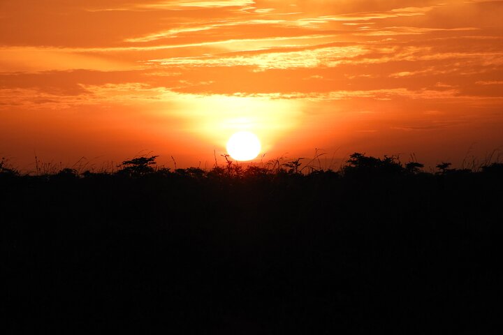 Private Adventure: Nairobi park, Elephants & Giraffe centre