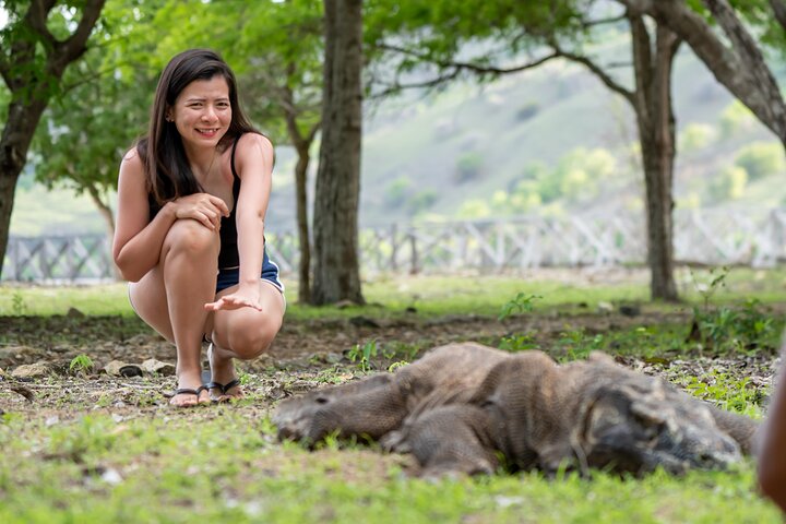 Full Day Trip to Explore 6 Destinations in Labuan Bajo and Komodo