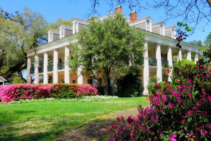 Swamp Boat Ride and Oak Alley Plantation Tour from New Orleans