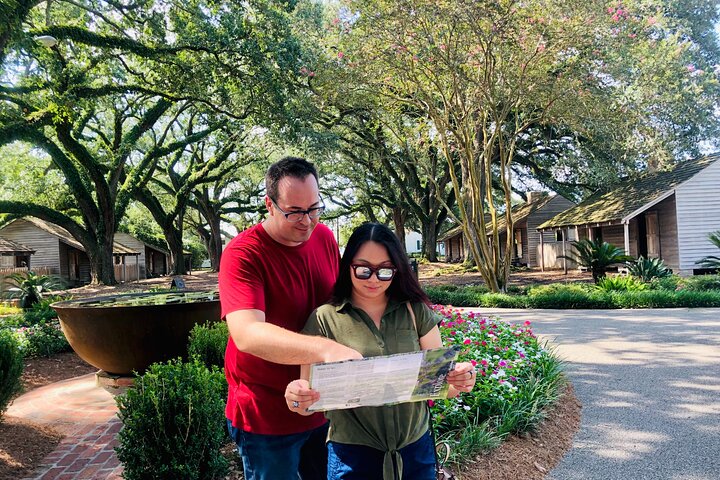 Swamp Boat Ride and Oak Alley Plantation Tour from New Orleans