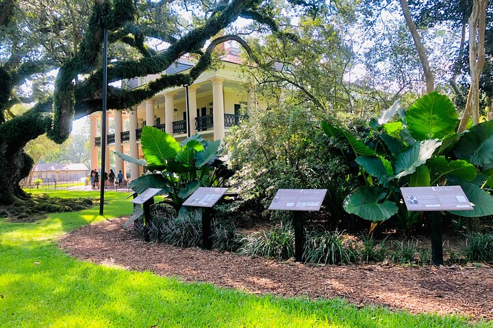 Swamp Boat Ride and Oak Alley Plantation Tour from New Orleans