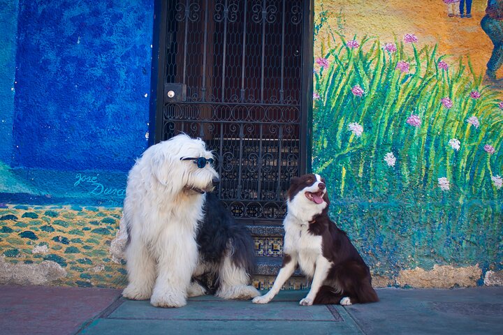 Tour to Lake Chapala, MAGIC TOWN of Ajijic from Guadalajara