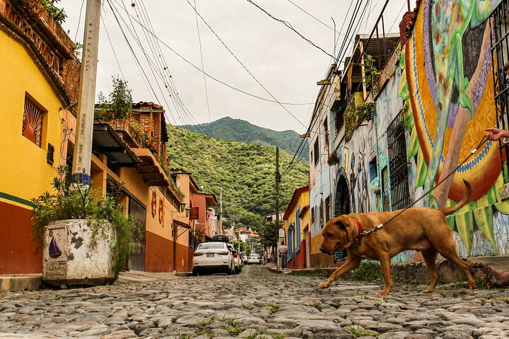 Tour to Lake Chapala, MAGIC TOWN of Ajijic from Guadalajara