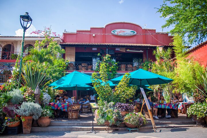 Tour to Lake Chapala, MAGIC TOWN of Ajijic from Guadalajara