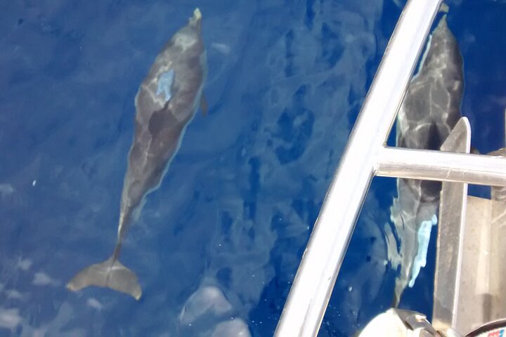 private sailing cruises